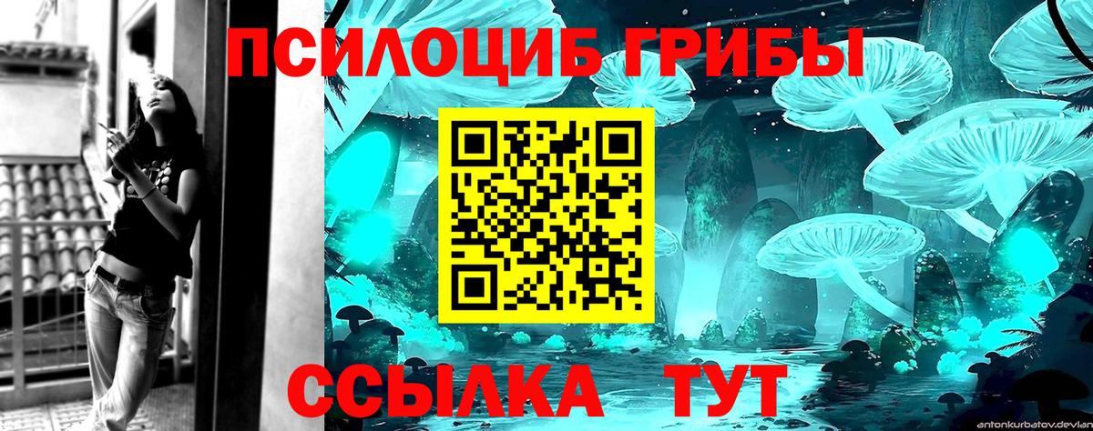 Псилоцибиновые грибы Psilocybine cubensis Богородицк