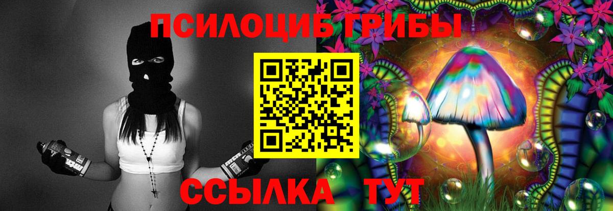 Галлюциногенные грибы прущие грибы  Вход с VPN  Богородицк 